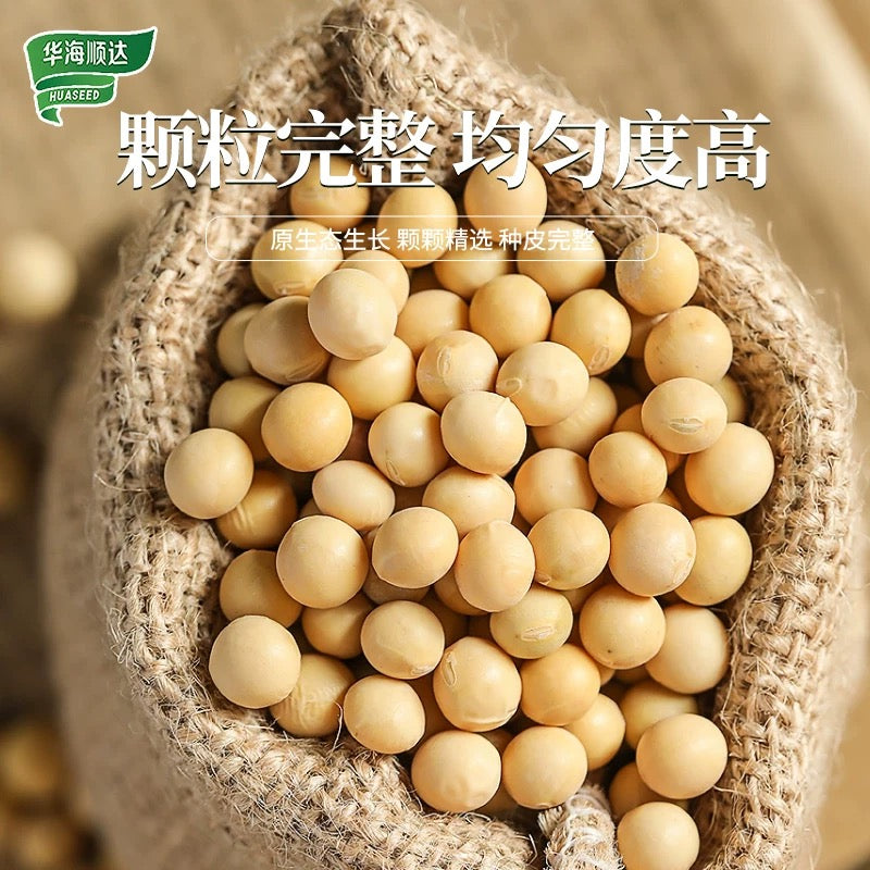 D华海顺达 黄豆 400g