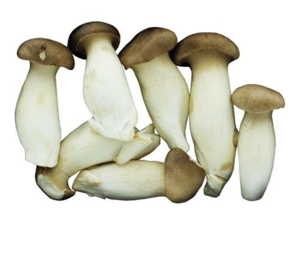 Chinese King Oyster Mushroom 500g