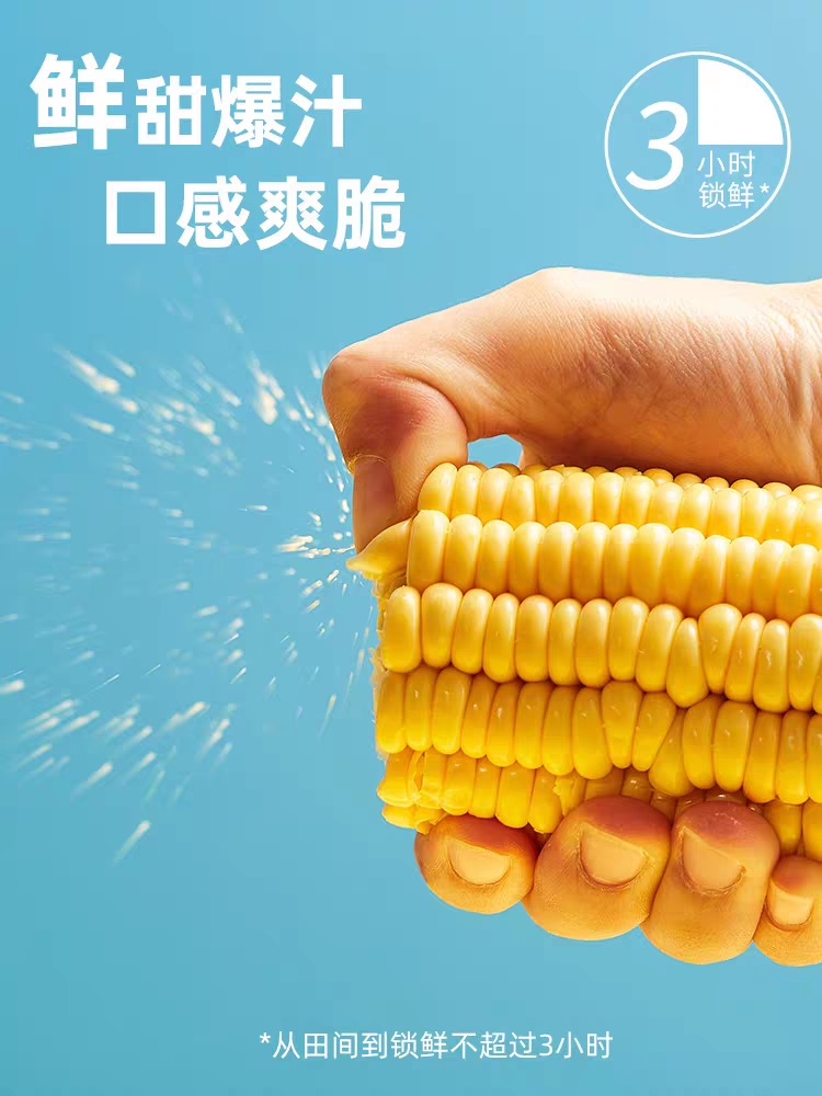 北纬47度 双穗甜玉米 440g