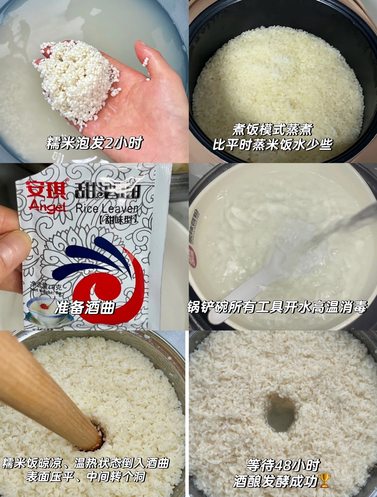 安琪 甜酒曲 8g*2