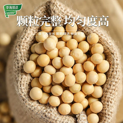 D华海顺达 黄豆 400g