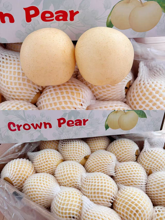现货新鲜 中国梨2个 470-480g
