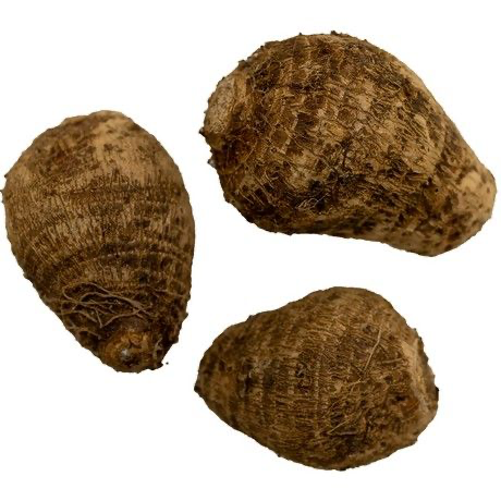 新鲜 芋头 一袋200g