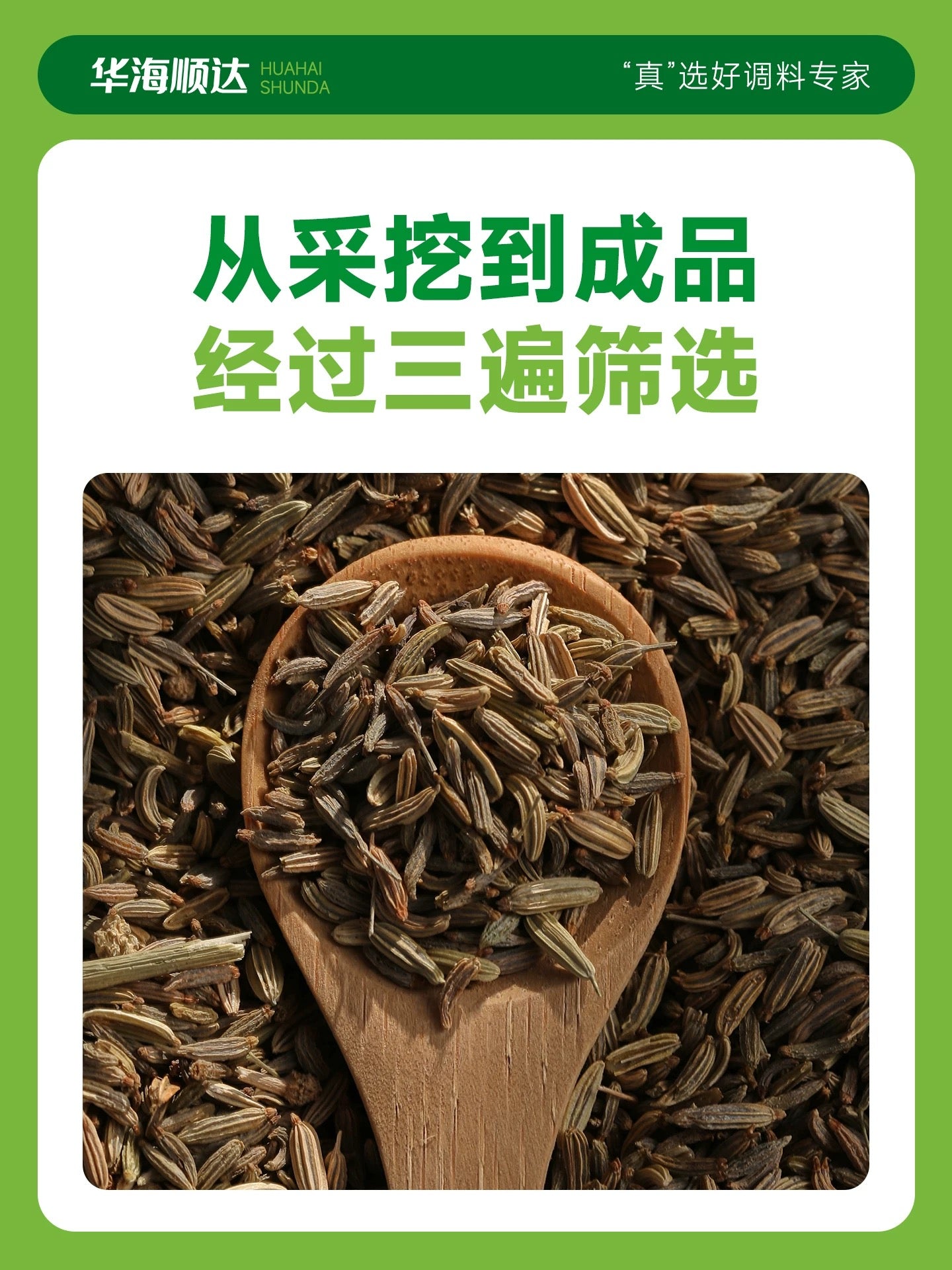 华海顺达 小茴香 40g