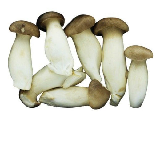 Chinese King Oyster Mushroom 500g