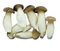 Chinese King Oyster Mushroom 500g
