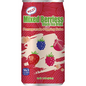 RICO Mixed Berry Tea 340ml