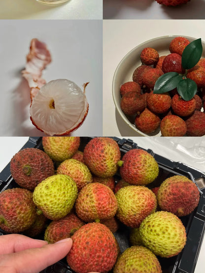 Chinese Feizixiao Lychee 500g