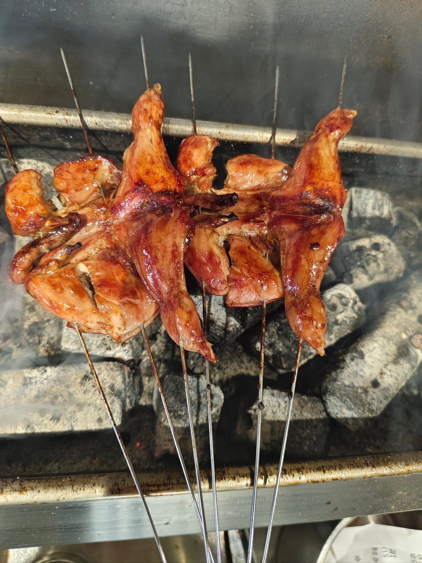 TK 鹌鹑（4只装）