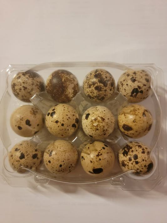 鹌鹑蛋 12个