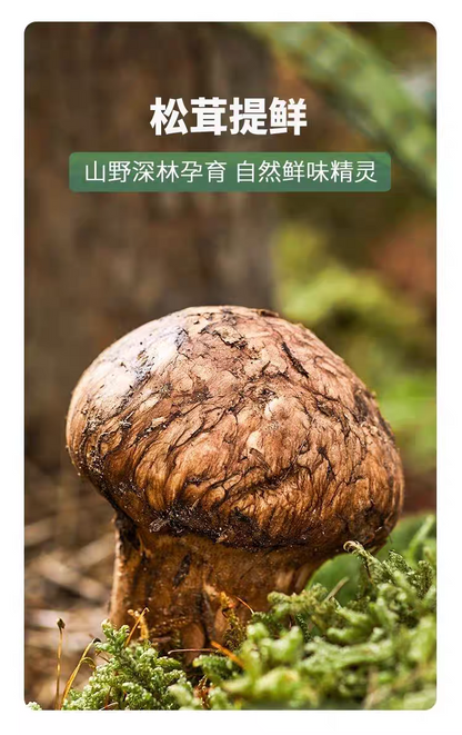 Songxian Fresh Matsutake Seasoning 100g